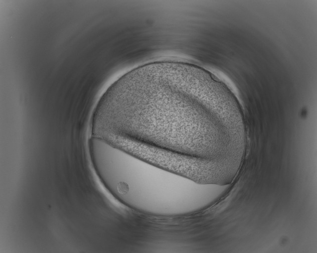 X0000094171391200711241520