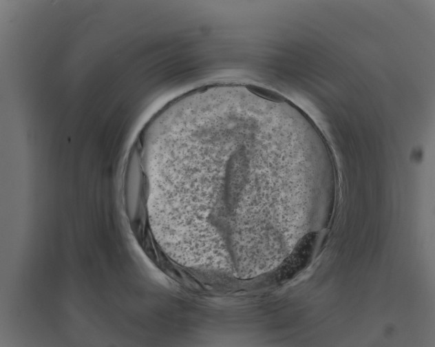 X0000094171392200711241520