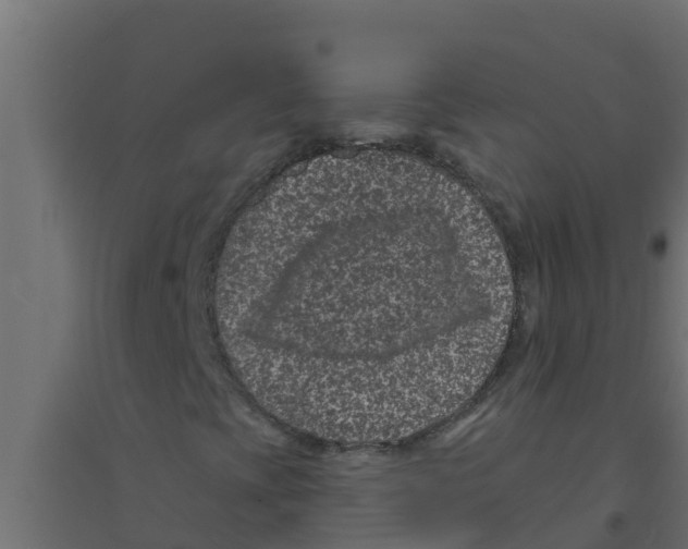 X0000094171393200711241520