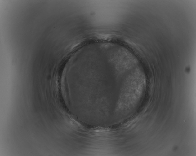 X0000094171394200711241520