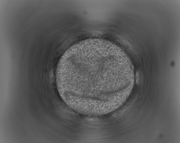 X0000094171395200711241520