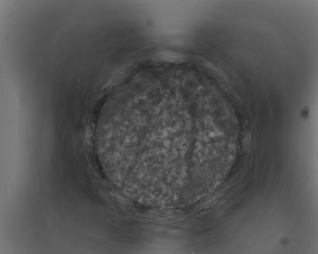 X0000094171397200711241520