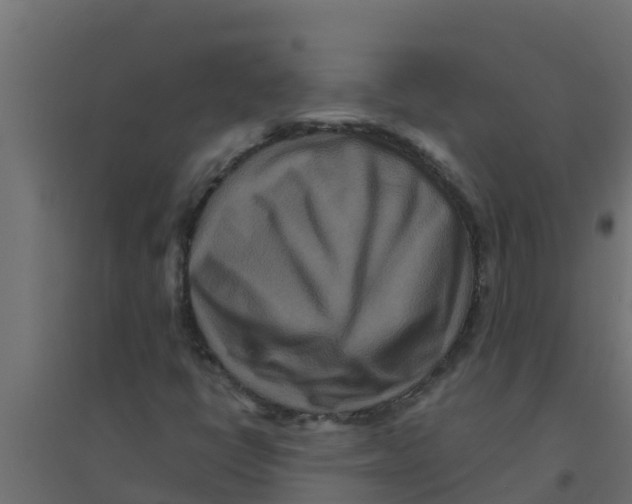 X0000094171398200711241520