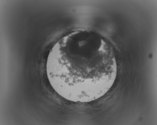 X0000094171399200711241520