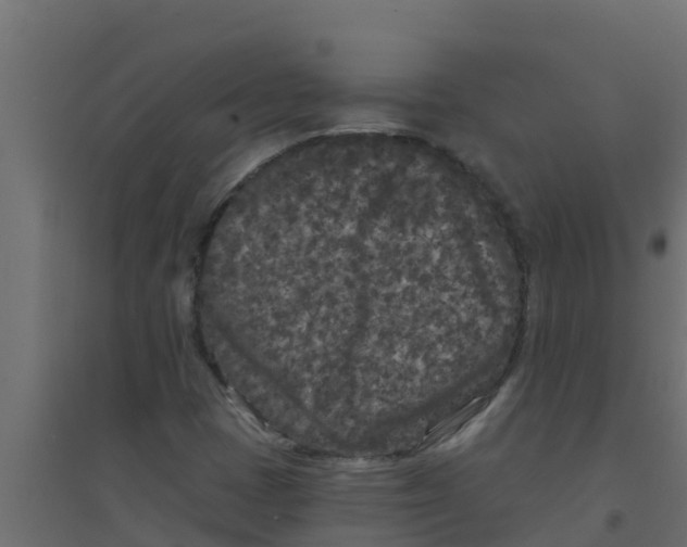 X0000094171401200711241520