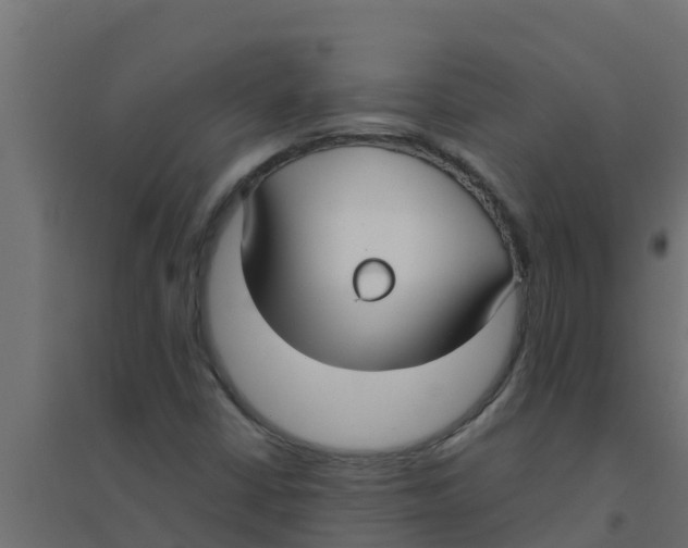 X0000094171402200711241520