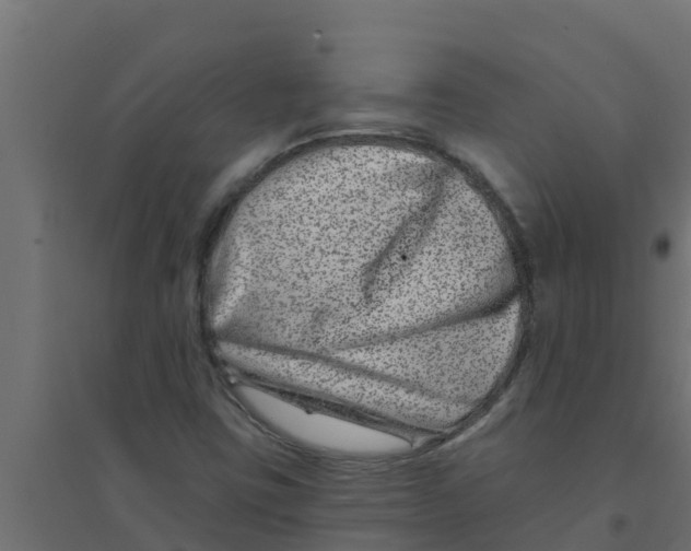 X0000094171403200711241520