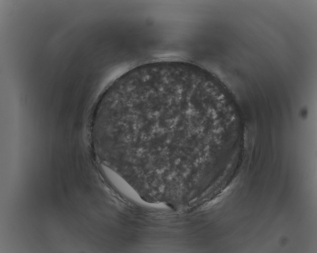 X0000094171405200711241520