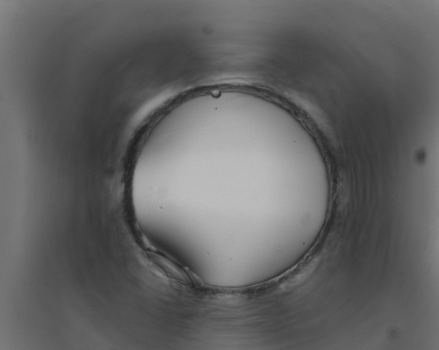 X0000094171406200711241520