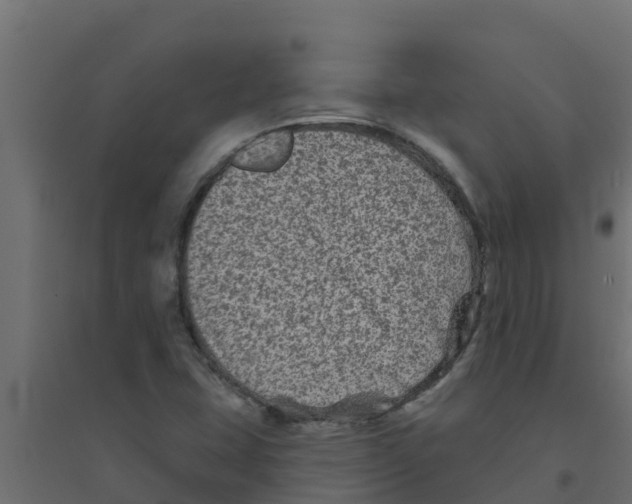 X0000094171407200711241520