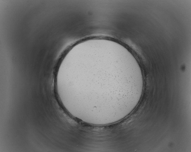 X0000094171408200711241520