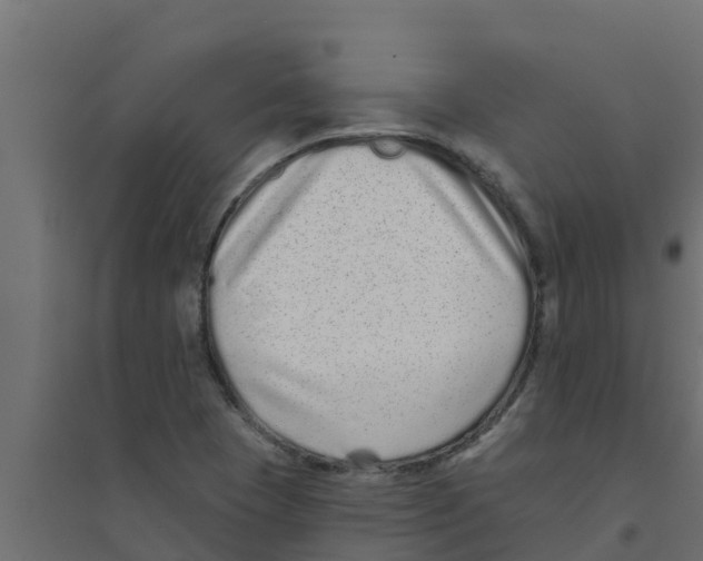 X0000094171409200711241520