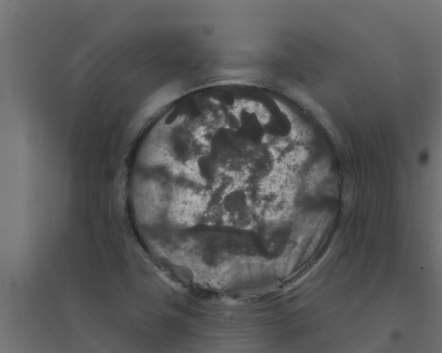 X0000094171411200711241520