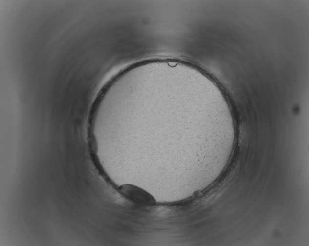 X0000094171412200711241520