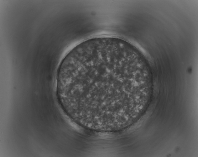 X0000094171413200711241520