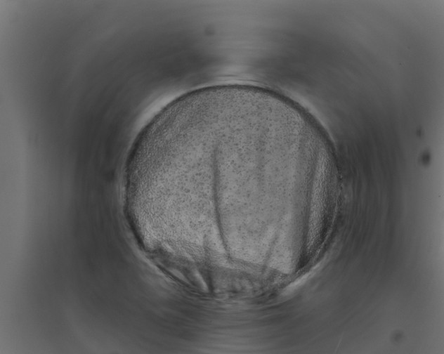 X0000094171415200711241520