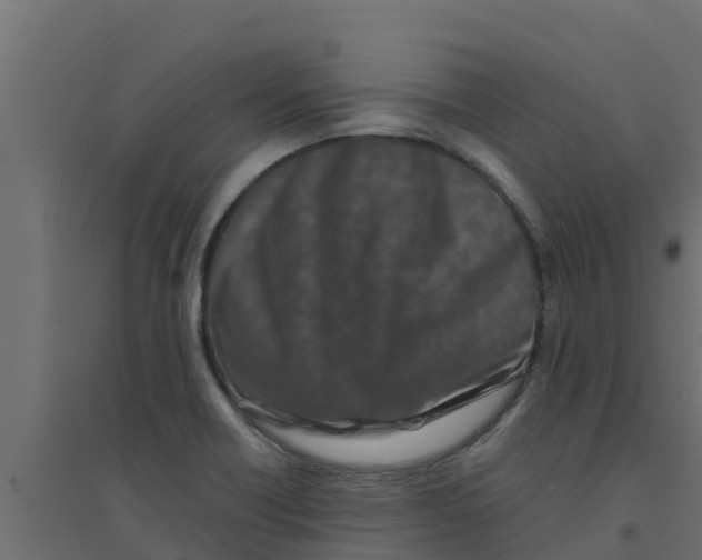 X0000094171418200711241520