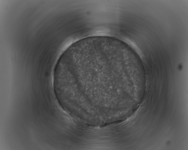 X0000094171419200711241520