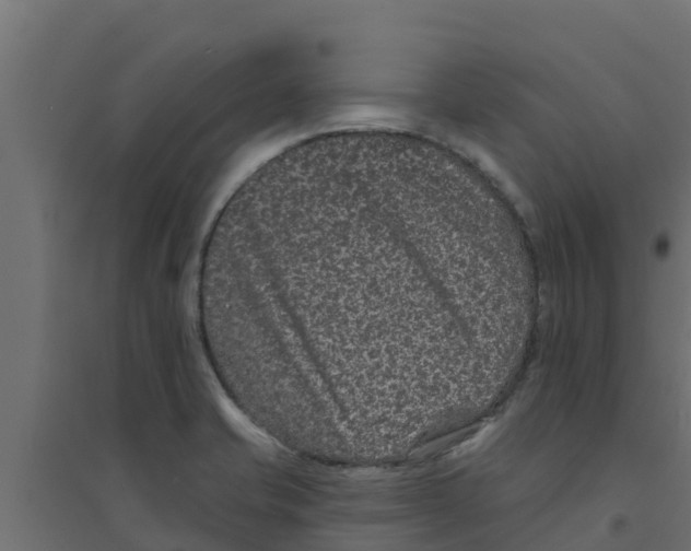 X0000094171421200711241520