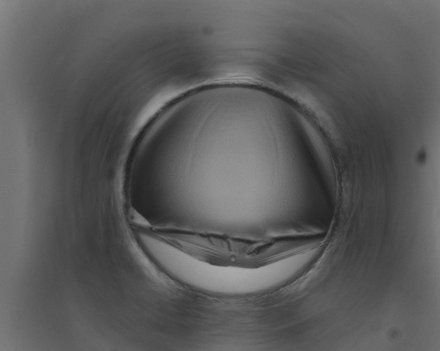 X0000094171422200711241520