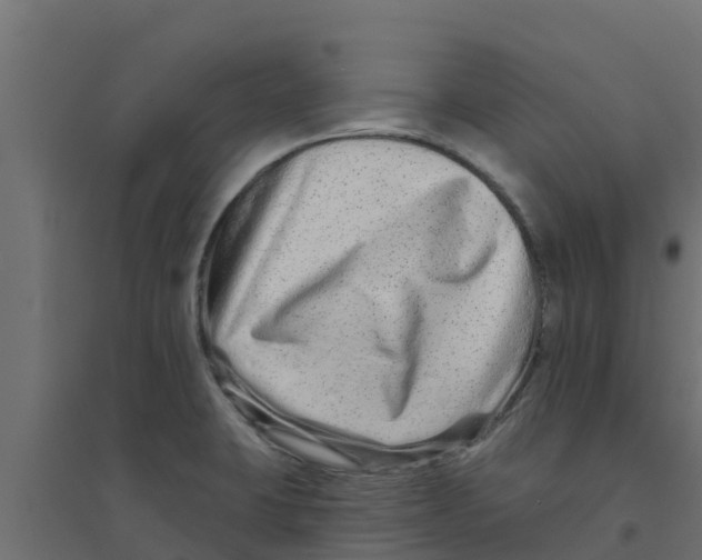 X0000094171423200711241520