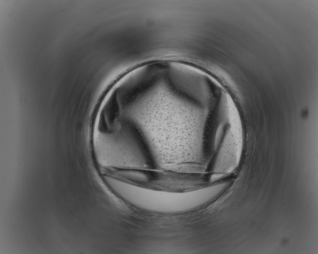 X0000094171424200711241520