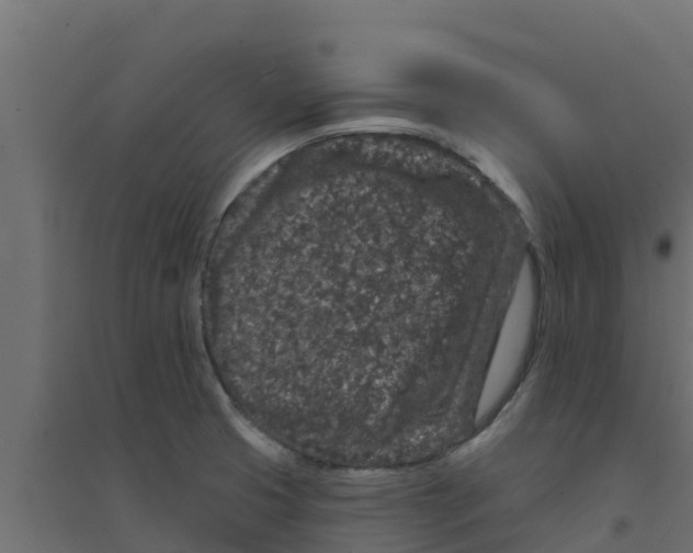 X0000094171425200711241520