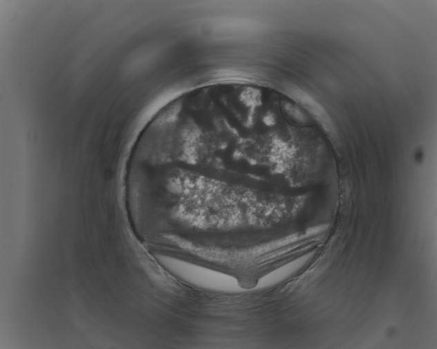 X0000094171427200711241520