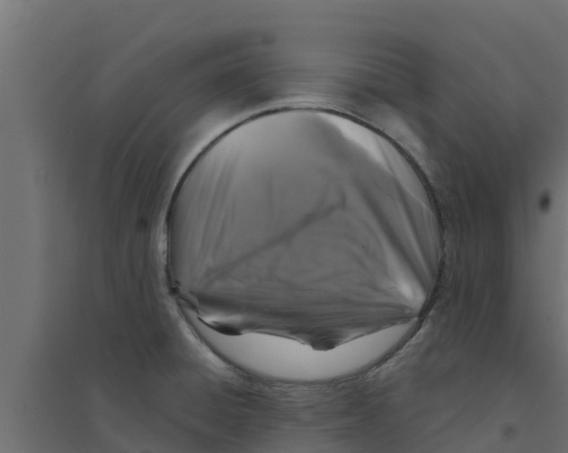 X0000094171428200711241520