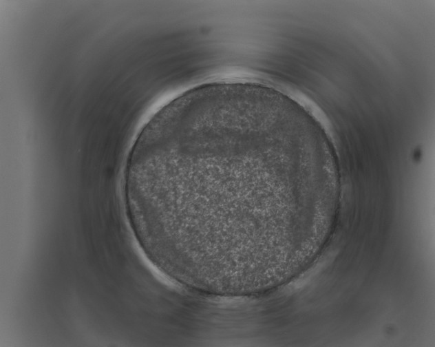 X0000094171429200711241520