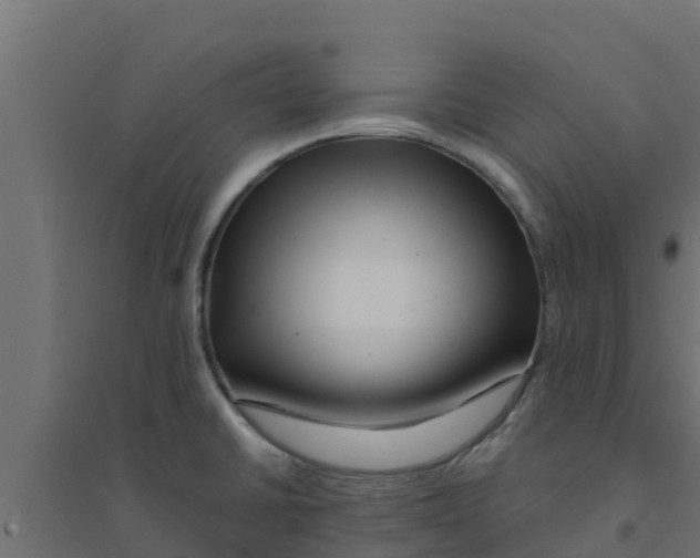 X0000094171430200711241520