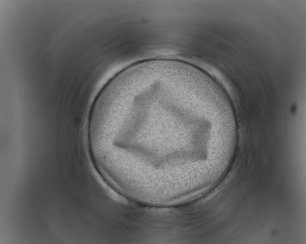 X0000094171432200711241520