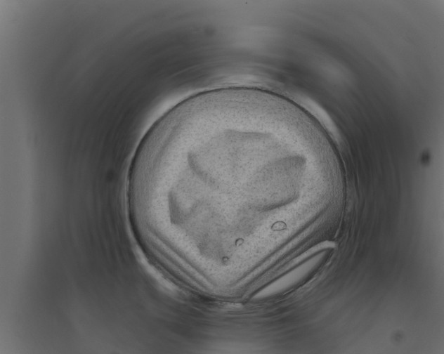 X0000094171439200711241520