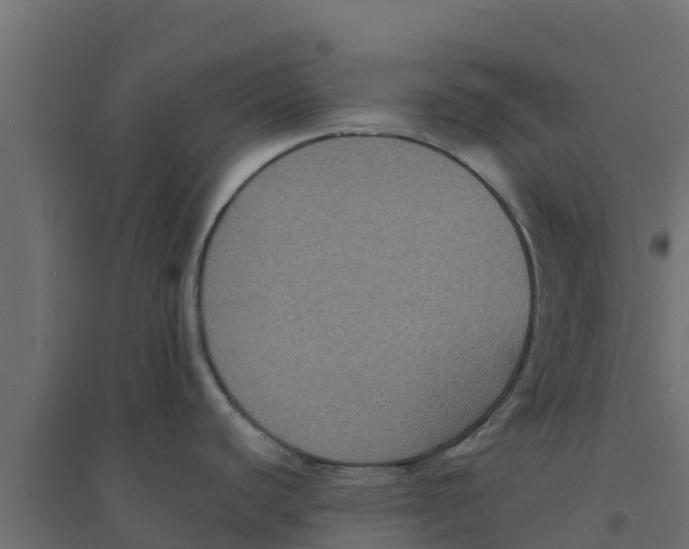 X0000094171440200711241520