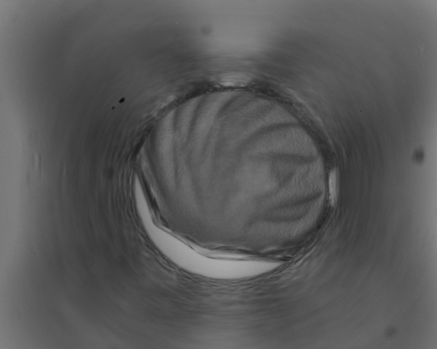 X0000094171443200711241520