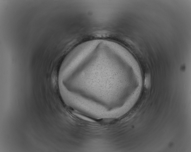 X0000094171444200711241520