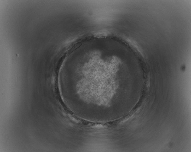 X0000094171445200711241520