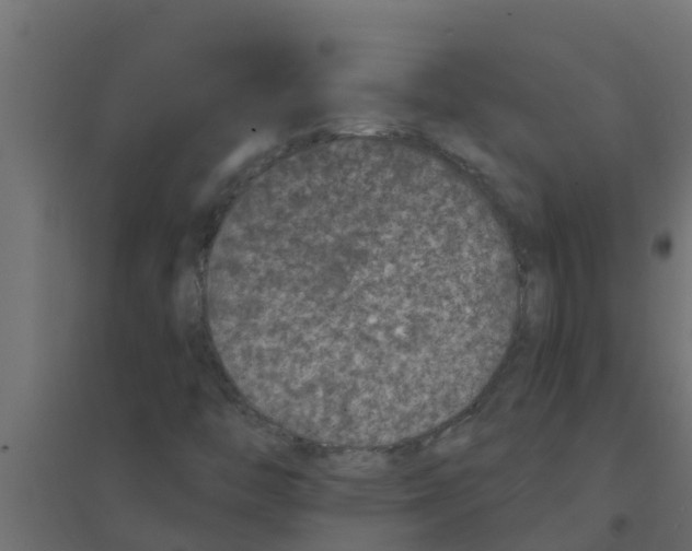 X0000094171446200711241520