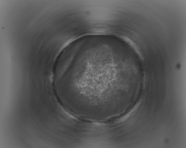 X0000094171449200711241520