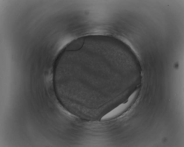 X0000094171450200711241520