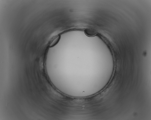 X0000094171451200711241520