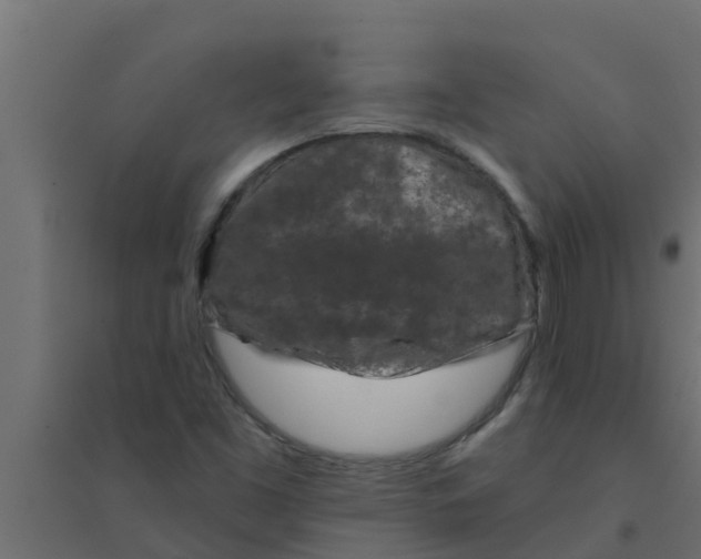 X0000094171453200711241520