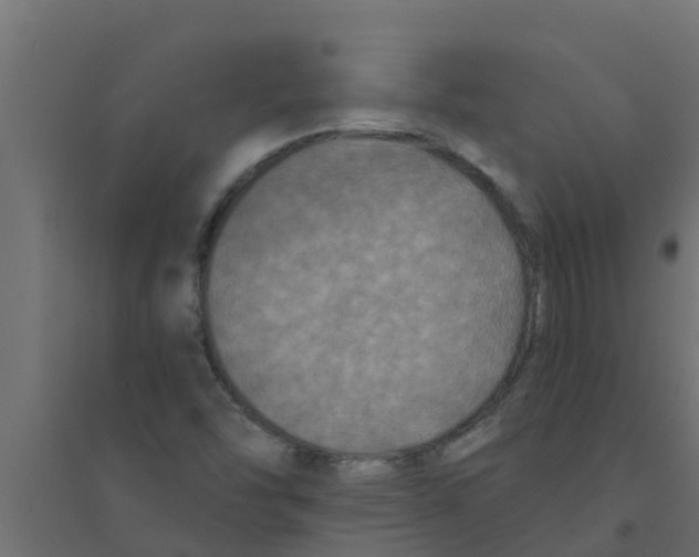 X0000094171454200711241520