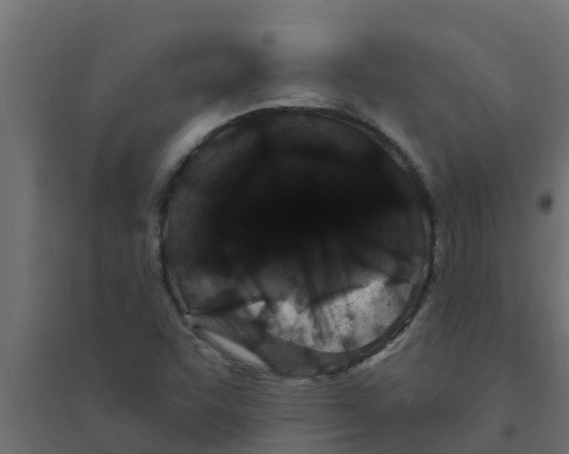 X0000094171455200711241520