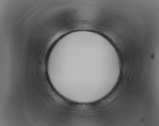 X0000094171458200711241520