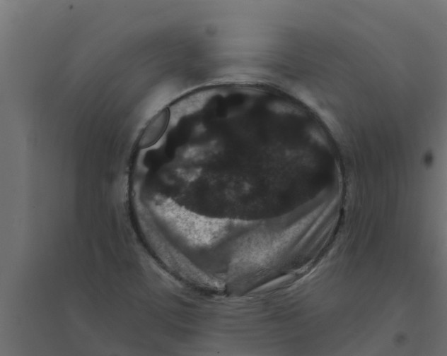 X0000094171459200711241519