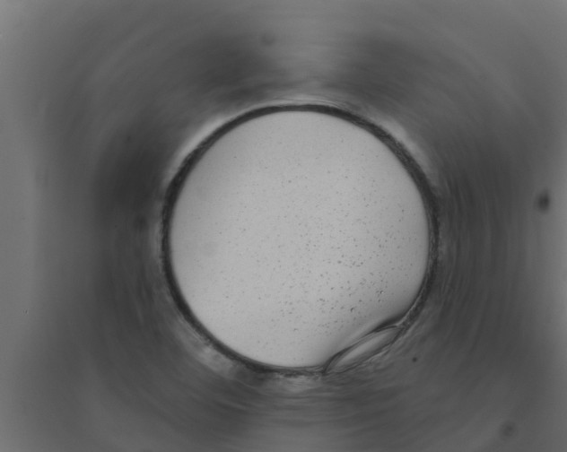 X0000094171460200711241519