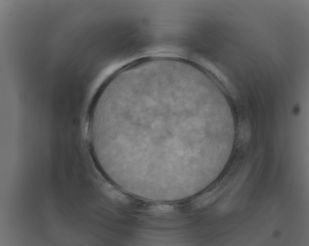 X0000094171462200711241519