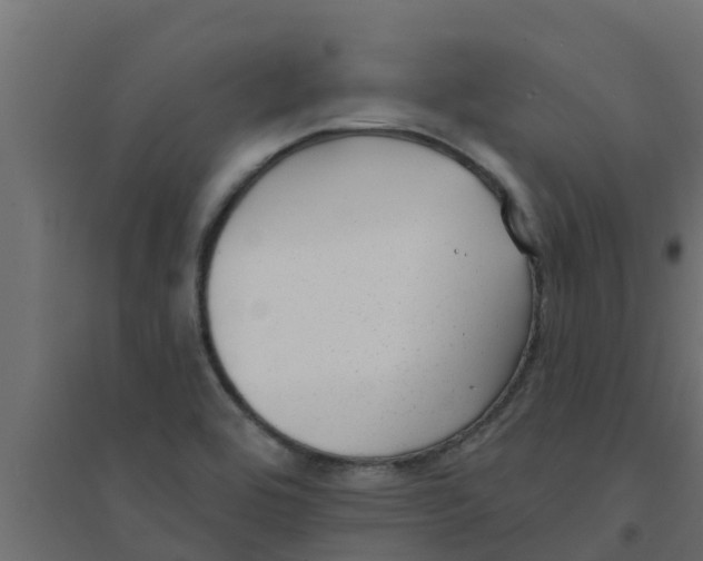 X0000094171464200711241519