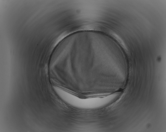 X0000094171465200711241519